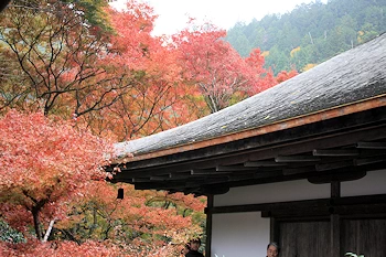 高山寺の風景