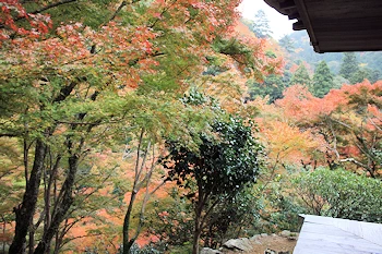 高山寺の風景