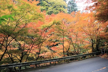 高山寺の風景