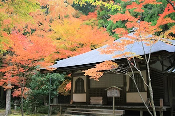 高山寺の風景