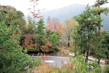 嵐山高雄パークウェイの風景