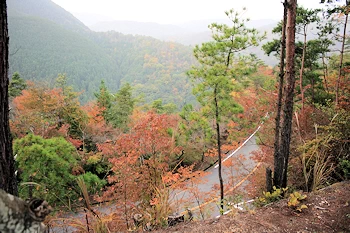 嵐山高雄パークウェイの風景