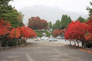 嵐山高雄パークウェイの風景