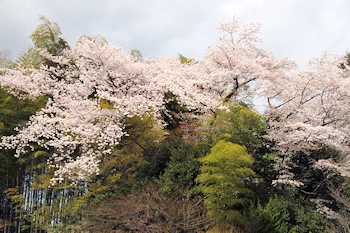 霊山観音の風景