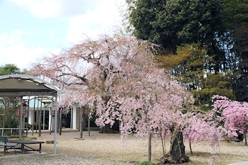 霊山観音の風景