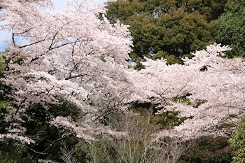 霊山観音の風景