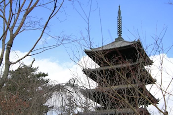 仁和寺の風景
