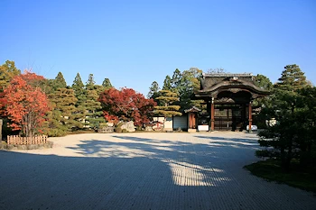 仁和寺の風景