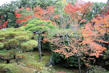 仁和寺の風景