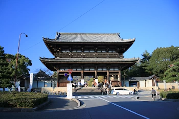 仁和寺の風景