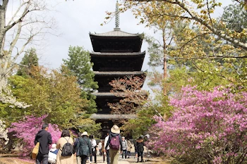 仁和寺の風景