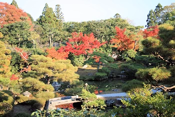 仁和寺の風景