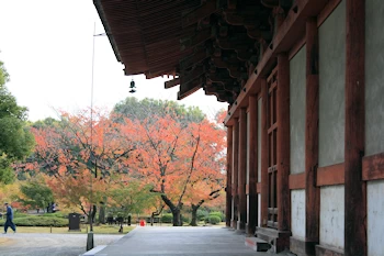 東寺の風景