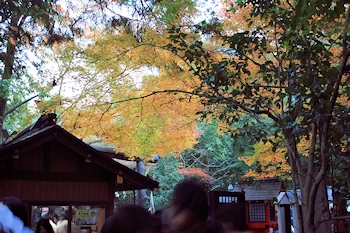野宮神社の風景
