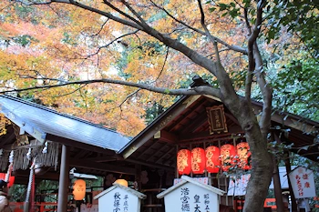 野宮神社の風景
