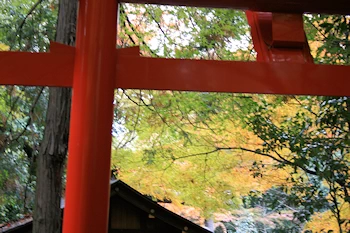 野宮神社の風景