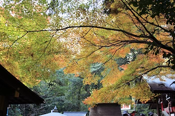 野宮神社の風景
