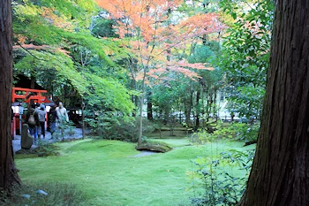 野宮神社の風景