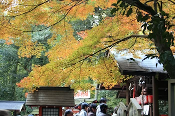 野宮神社の風景