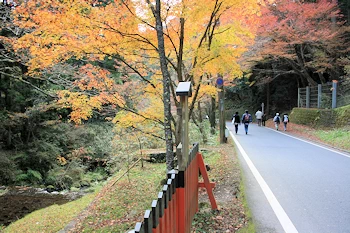 貴船口駅周辺の風景