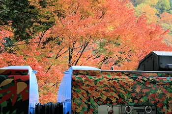 貴船口駅周辺の風景