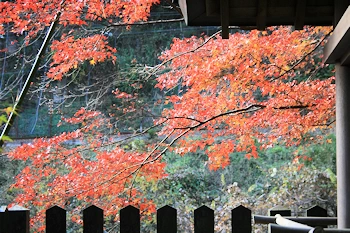 貴船神社一の鳥居付近の風景
