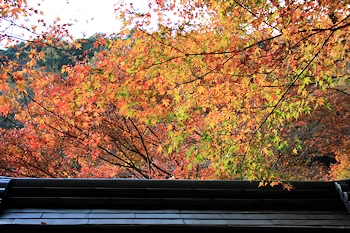 貴船神社一の鳥居付近の風景