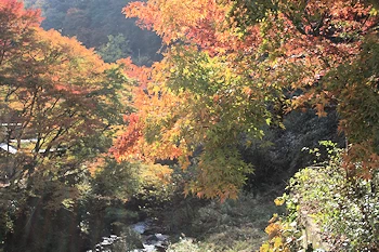 貴船神社一の鳥居付近の風景