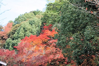 熊野若王子神社の風景