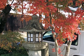 熊野若王子神社の風景