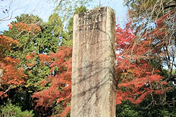 熊野若王子神社の風景