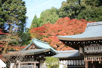 熊野若王子神社の風景