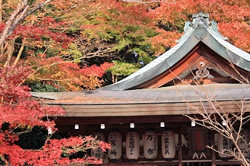 熊野若王子神社の風景