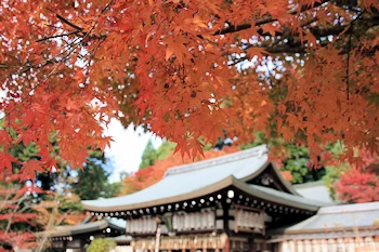 熊野若王子神社の風景