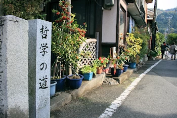 哲学の道の風景