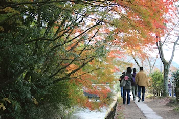 哲学の道の風景
