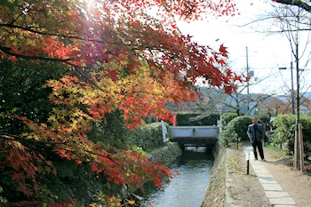 哲学の道の風景