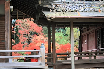 毘沙門堂の風景