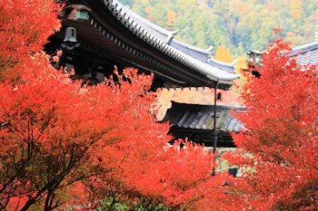毘沙門堂の風景