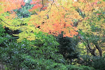 毘沙門堂の風景