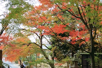 毘沙門堂の風景