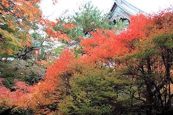 毘沙門堂の風景