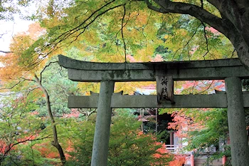 毘沙門堂の風景