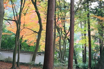 毘沙門堂の風景