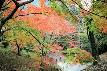 毘沙門堂の風景