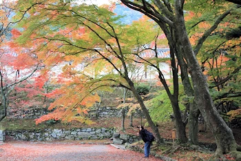 毘沙門堂の風景