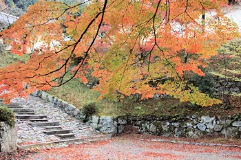 毘沙門堂の風景