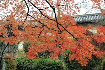毘沙門堂の風景