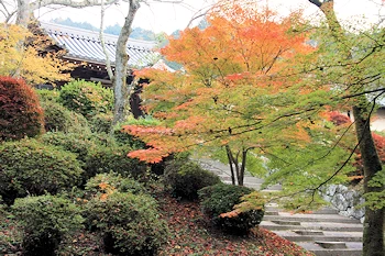 毘沙門堂の風景