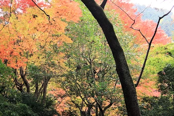 毘沙門堂の風景